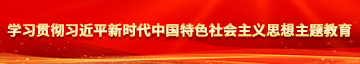 吧老女人视频网站学习贯彻习近平新时代中国特色社会主义思想主题教育